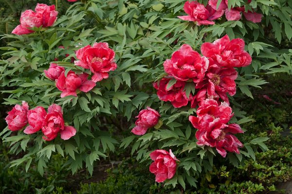 Découvrez les bienfaits des taies d'oreiller en soie et plus